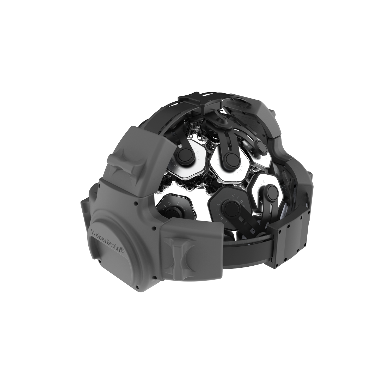 241127 wbrain render 2